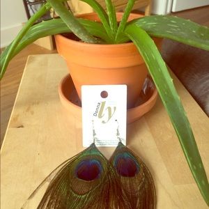 Peacock feather earrings (never worn)